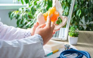 What Is The Difference Between A Hip Replacement And A Hip Revision?